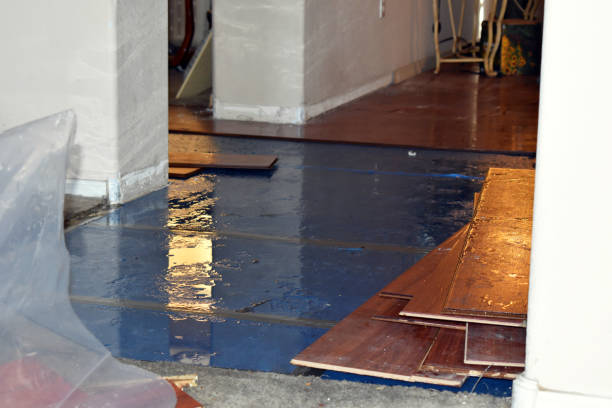 Professional Emergency Water Damage Restoration technician working in Laurel Bloomery, TN